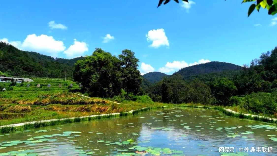 qq代涨业务网站平台