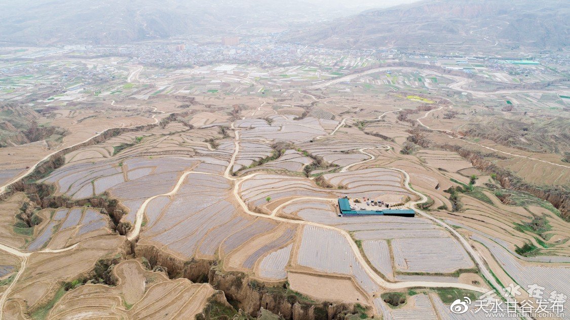 ks业务自助下单平台最便宜浙江